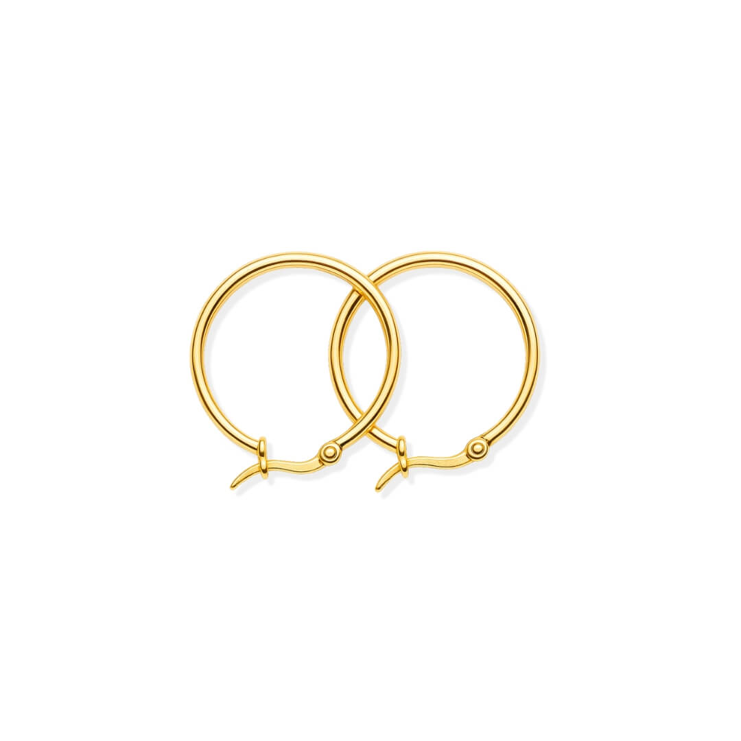 Brinco Argola Clássica (Banhado a Ouro)