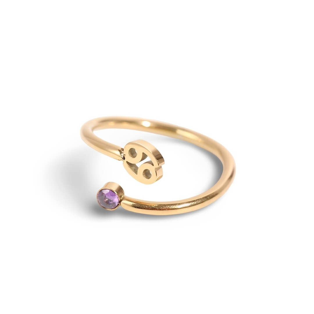 Anel Zodíaco (Banhado à Ouro 18K)