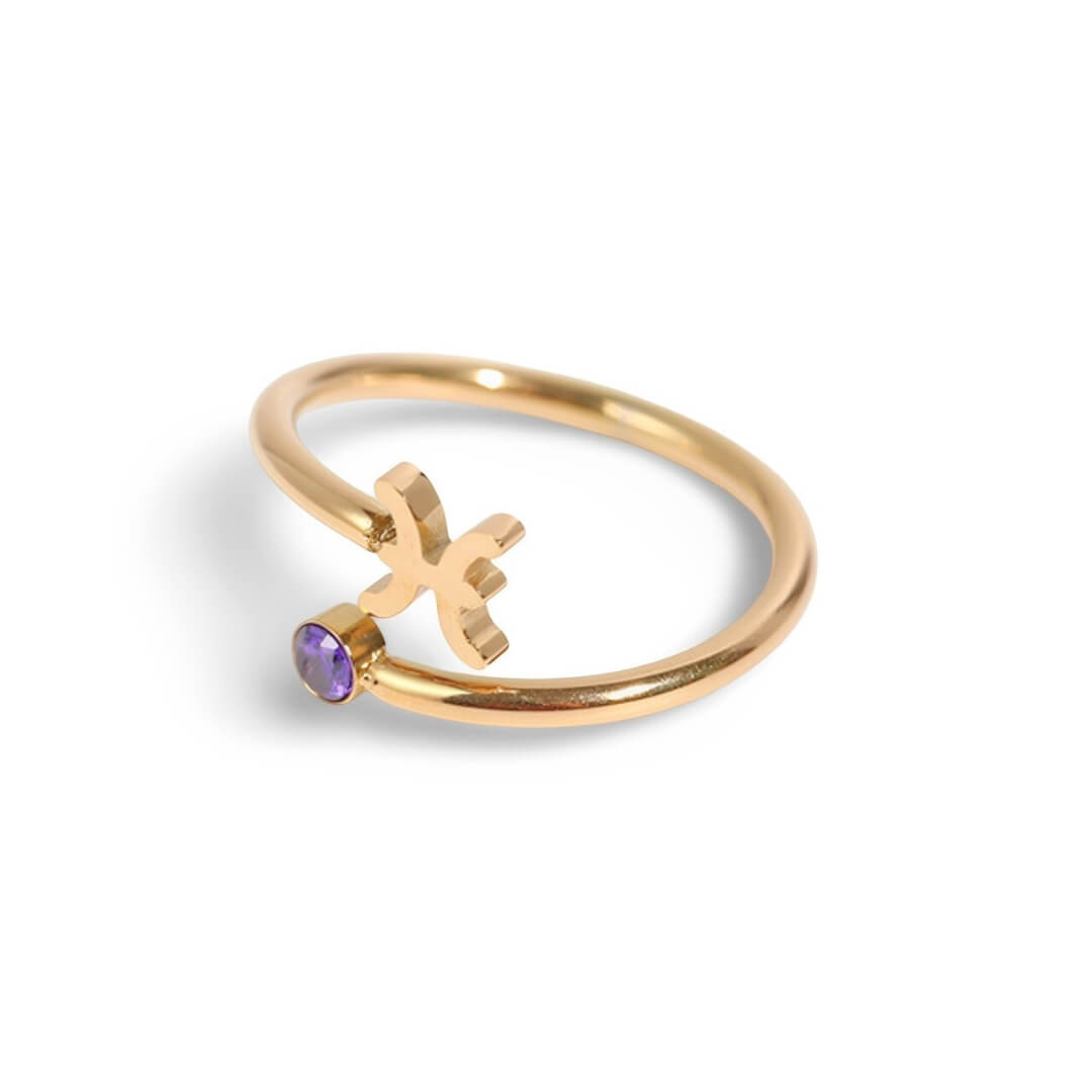 Anel Zodíaco (Banhado à Ouro 18K)