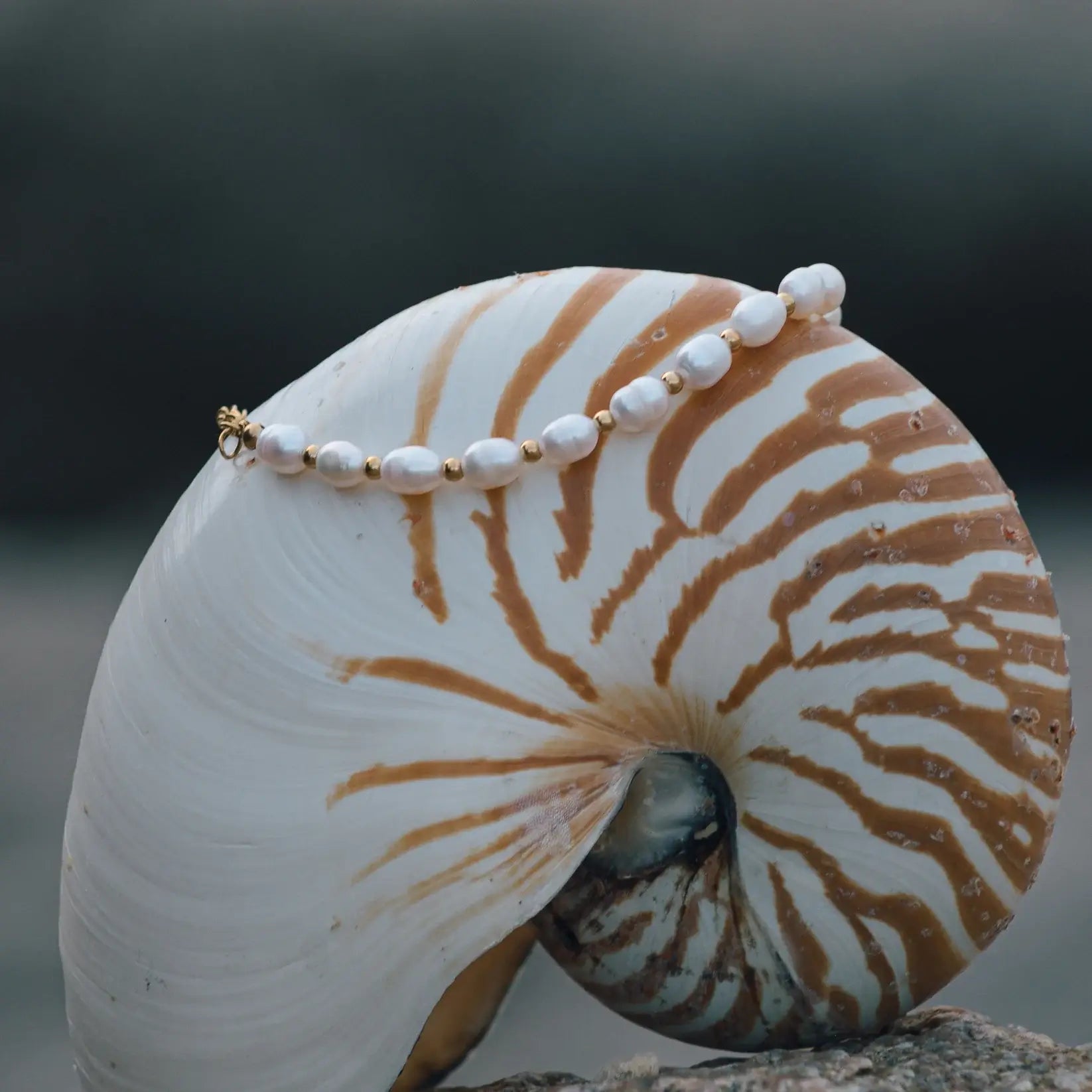 Pulseira de Pérolas Naturais Clássica (Banhada a Ouro)
