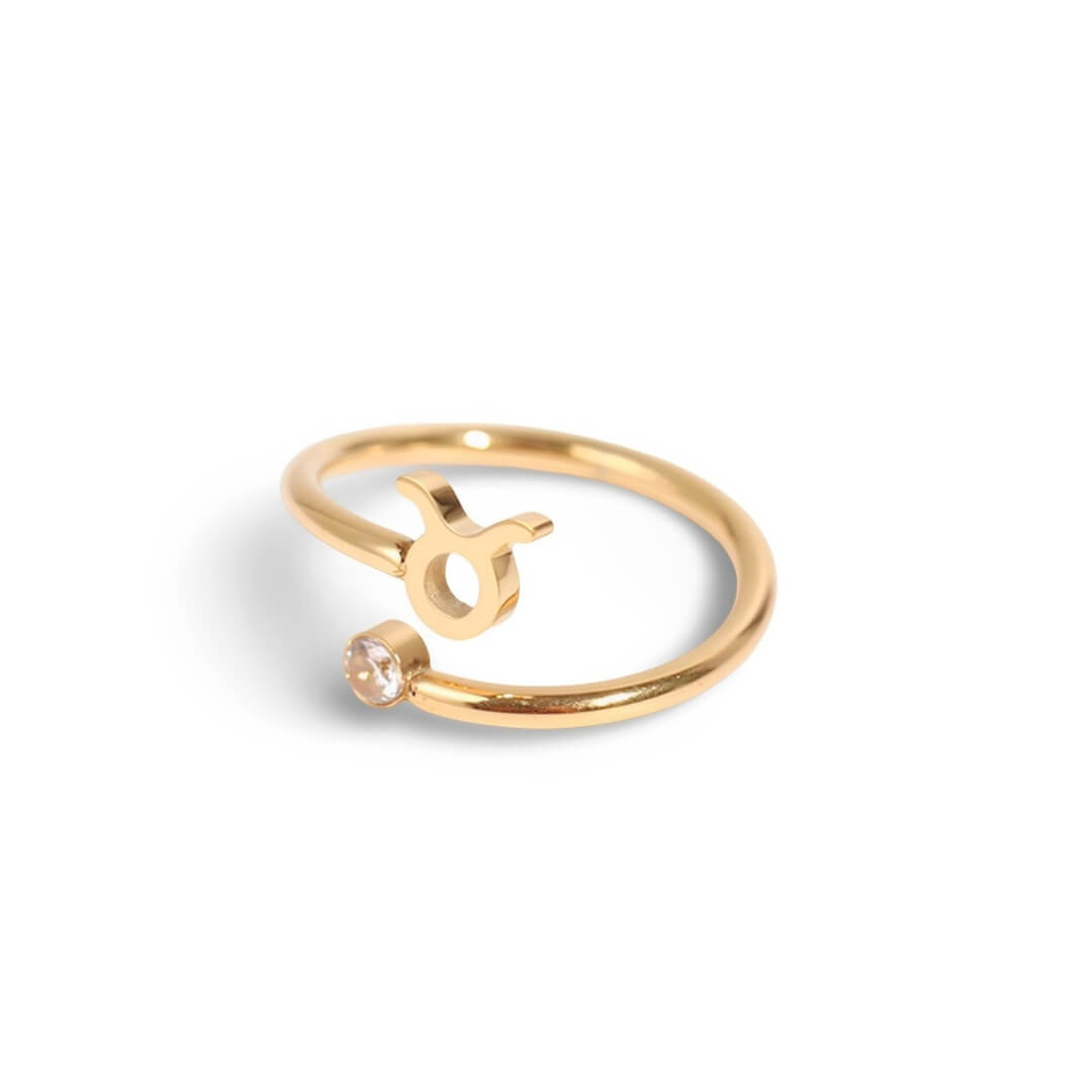 Anel Zodíaco (Banhado à Ouro 18K)